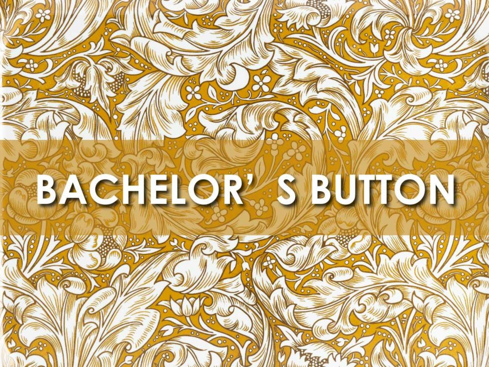 ウィリアム・モリスのバチェラーズボタン