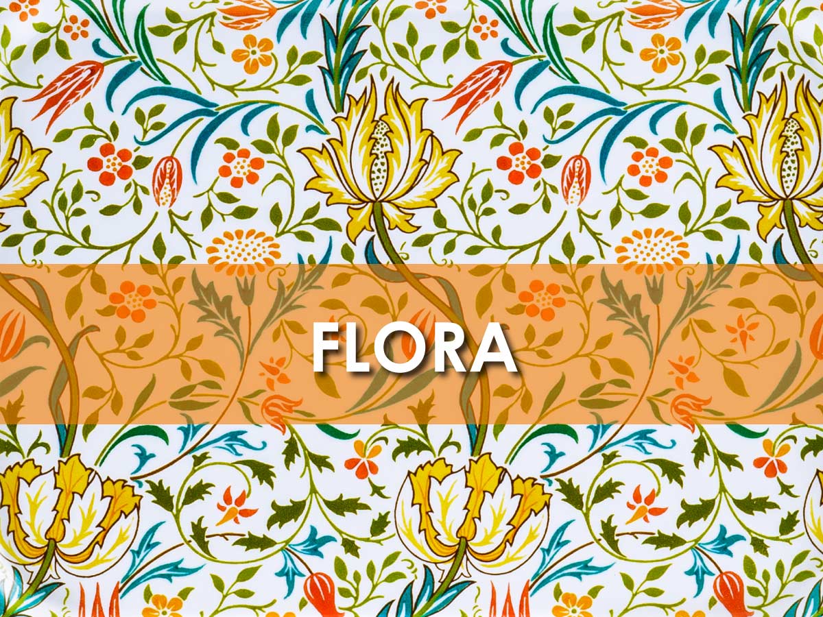 フローラ