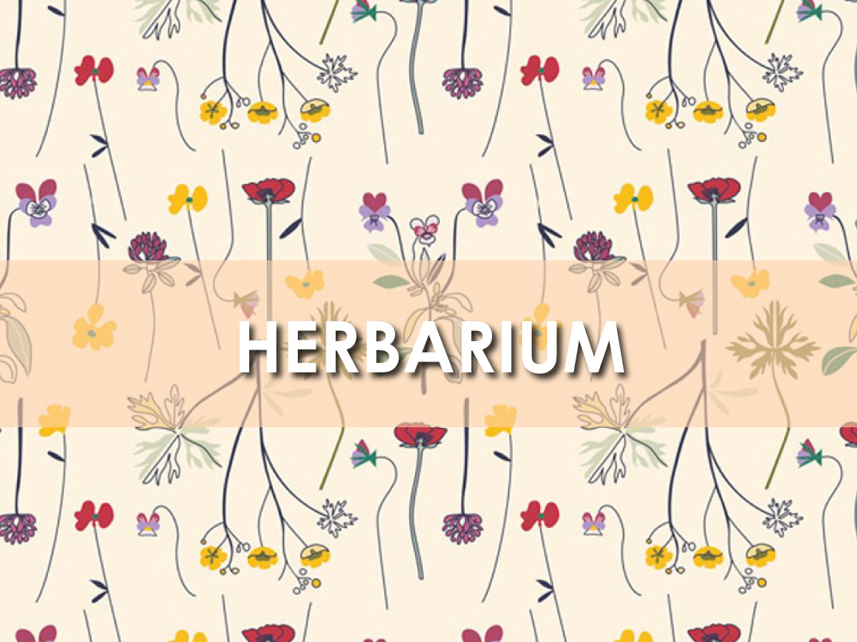 ハーバリウムー