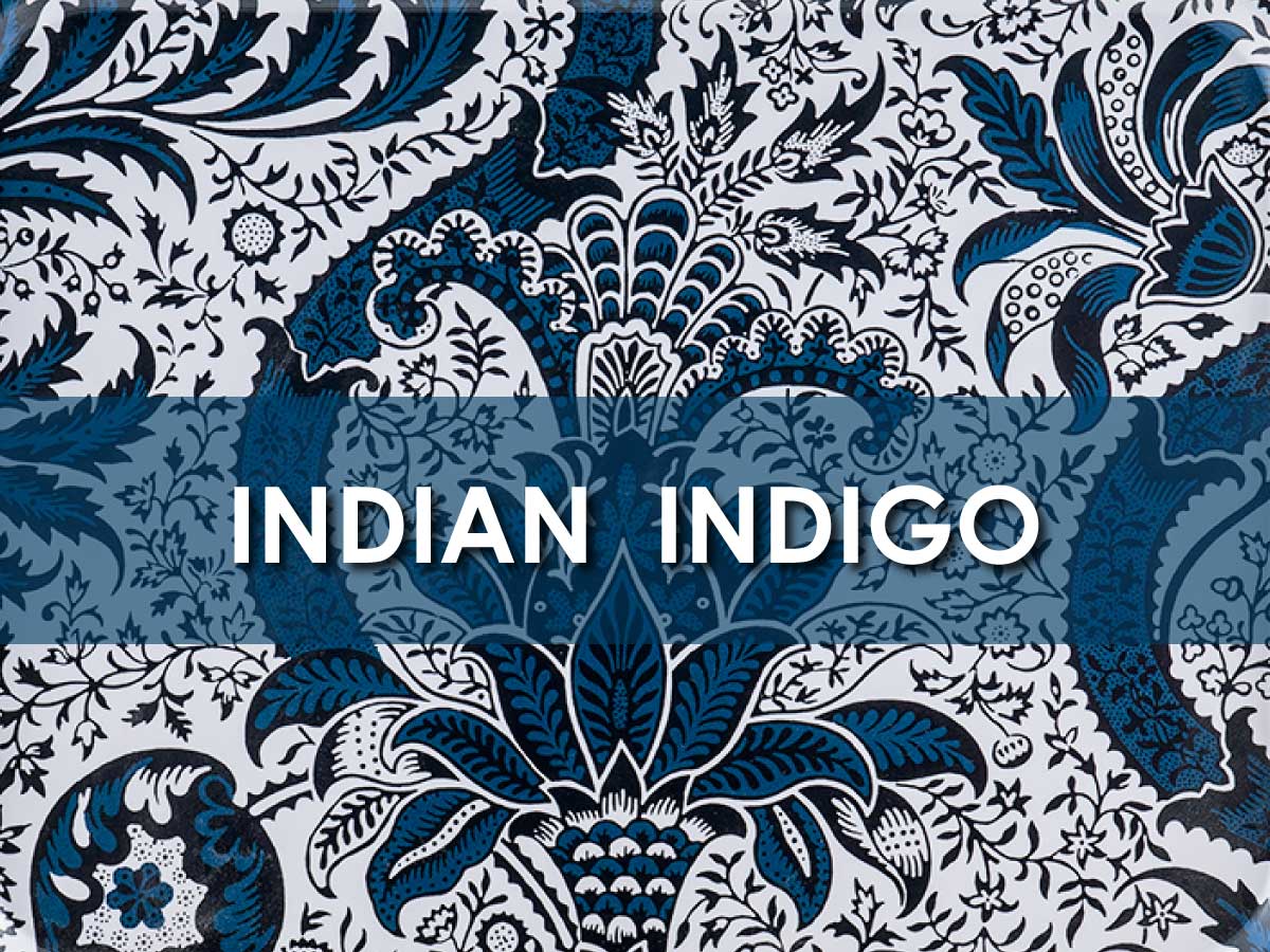 インディアンインディゴ