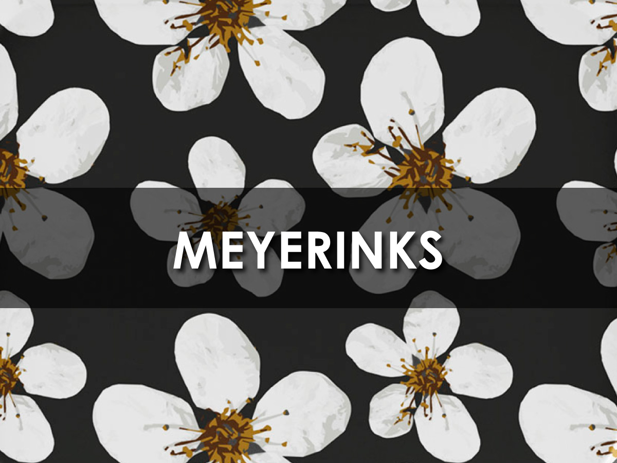 マイヤーインクス